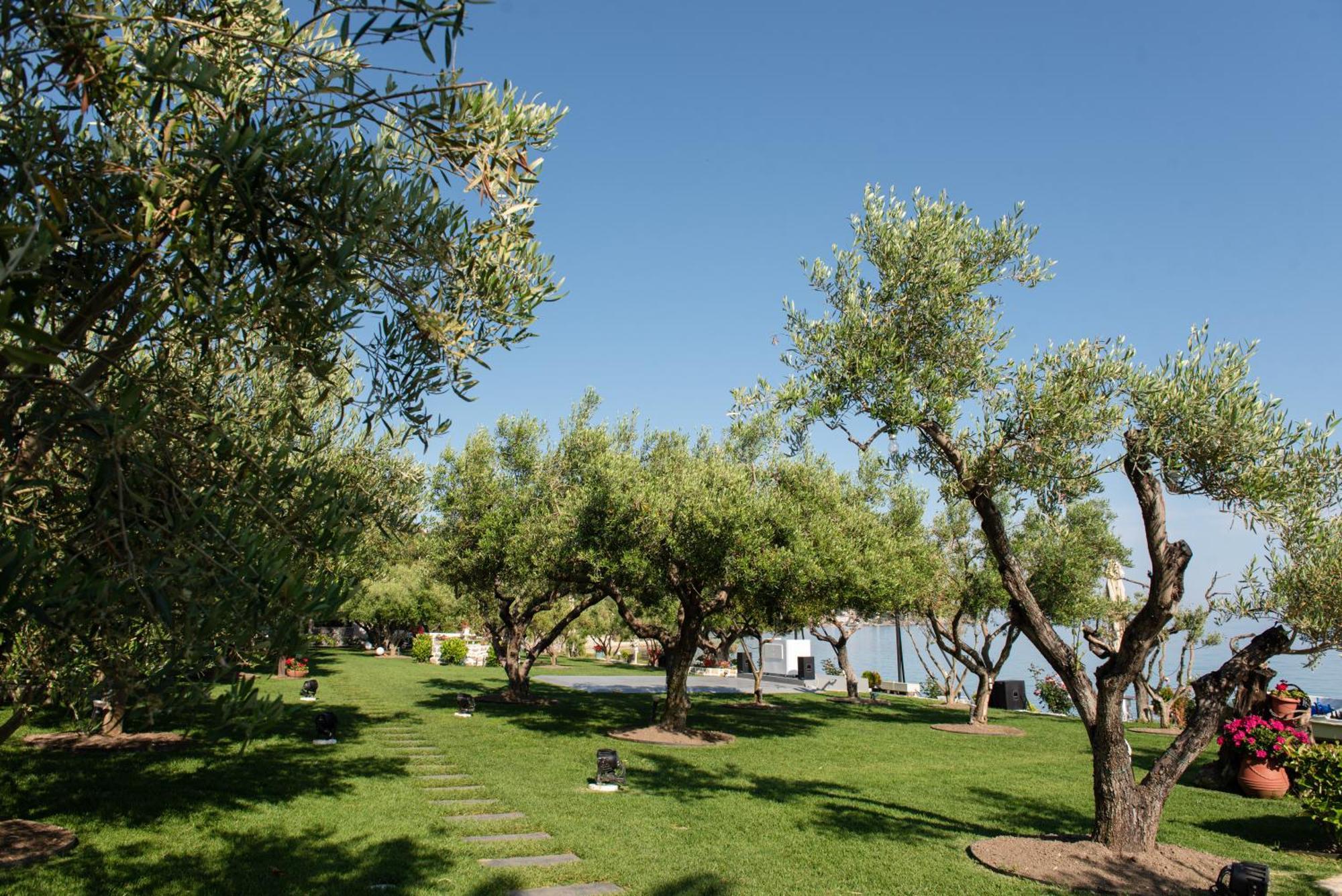 Ktima Delmare Pantazara Villa *