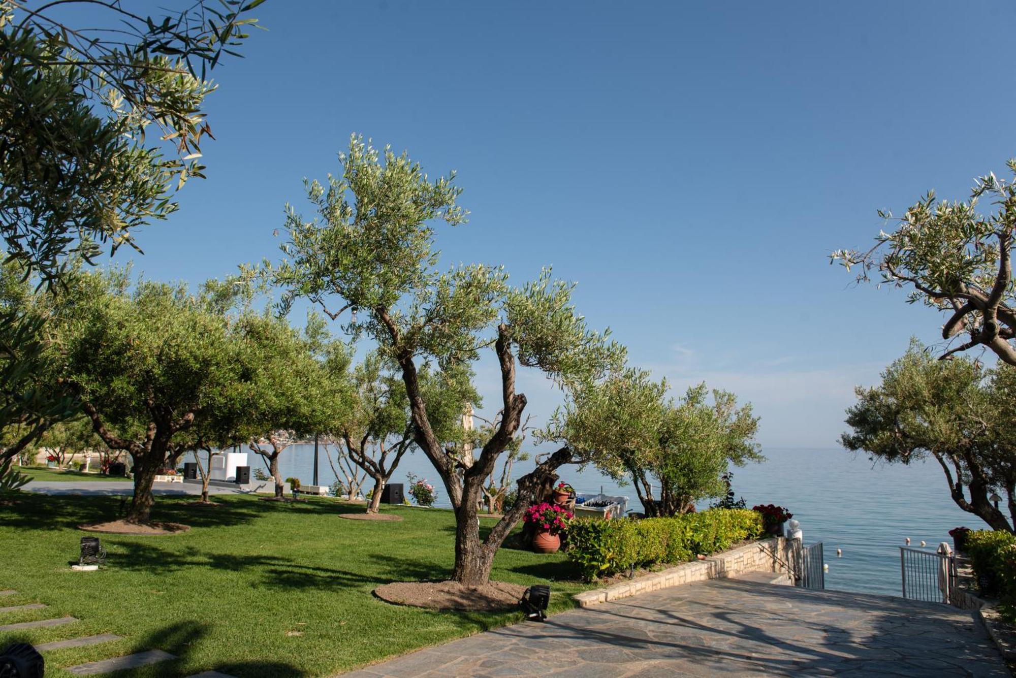 Villa Ktima Delmare Pantazara Nea Skioni