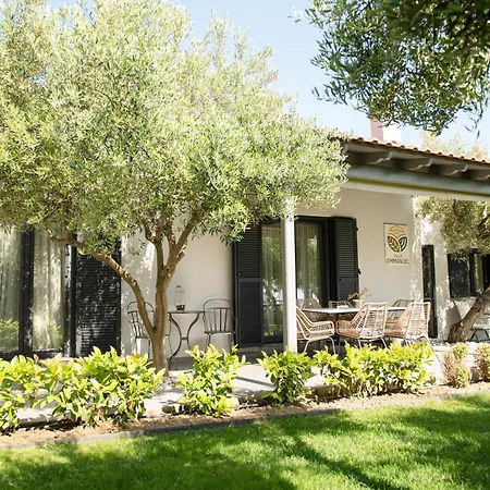 Ktima Delmare Pantazara Villa Nea Skioni Exterior photo