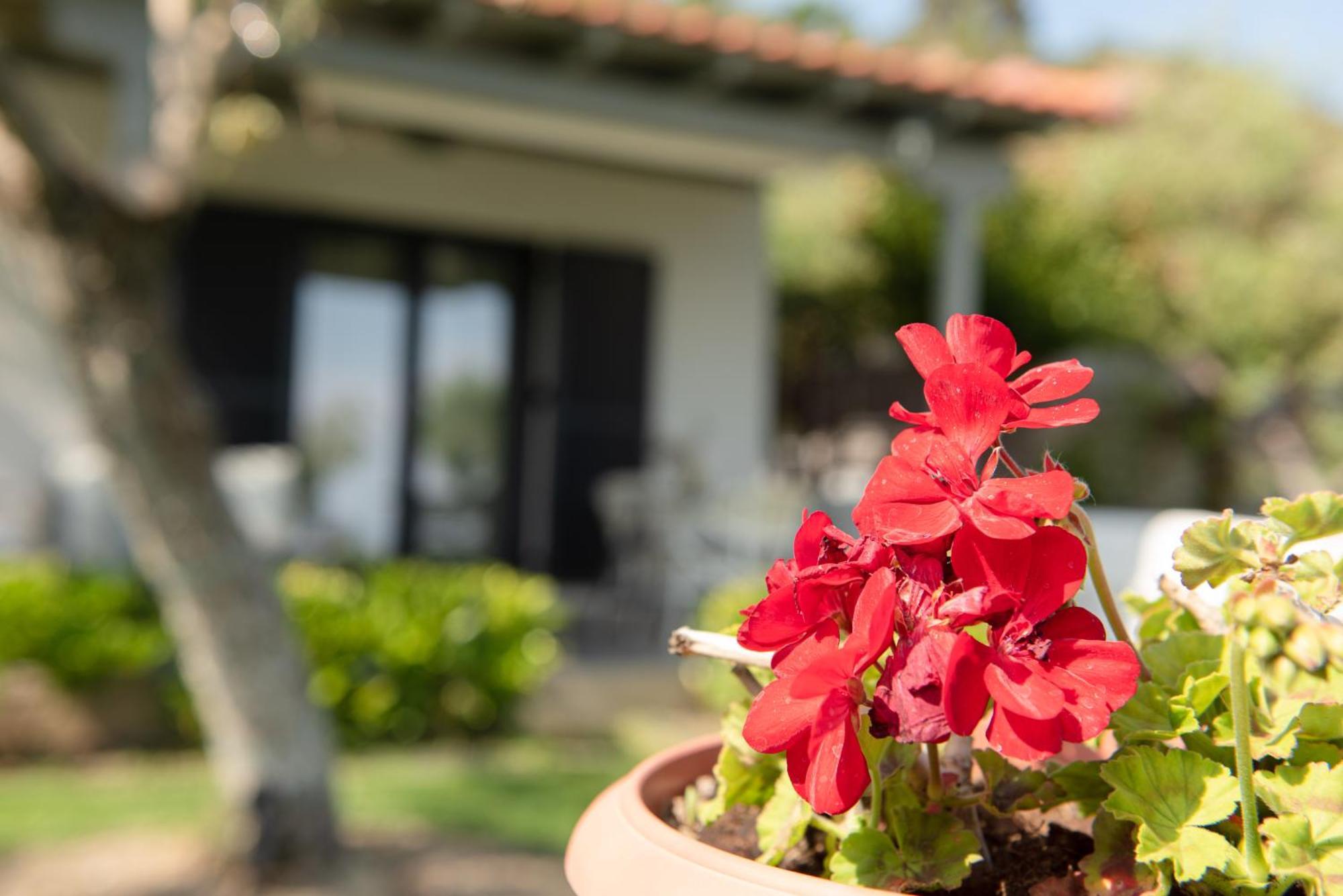 Villa Ktima Delmare Pantazara *