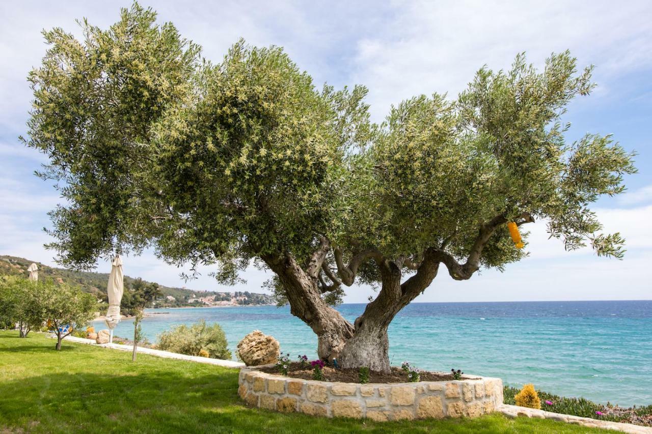 Villa Ktima Delmare Pantazara